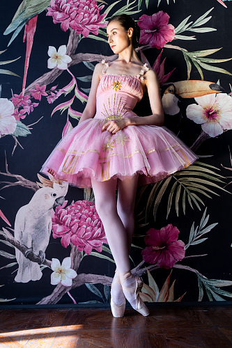 Изображение Alice in Wonderland
