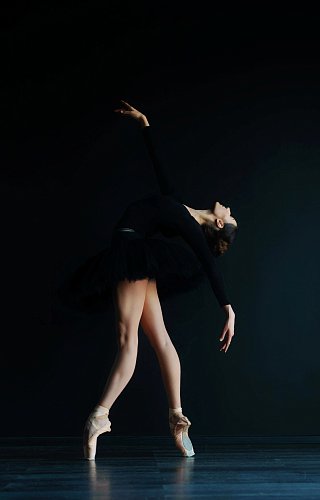 Изображение Black Swan