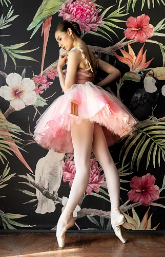 Изображение Alice in Wonderland