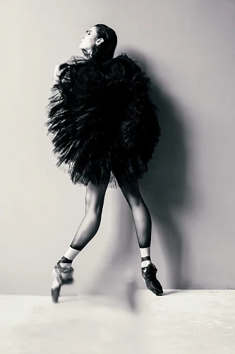 Изображение Black Swan