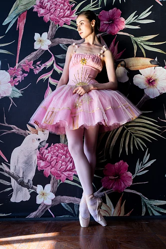 Изображение Alice in Wonderland