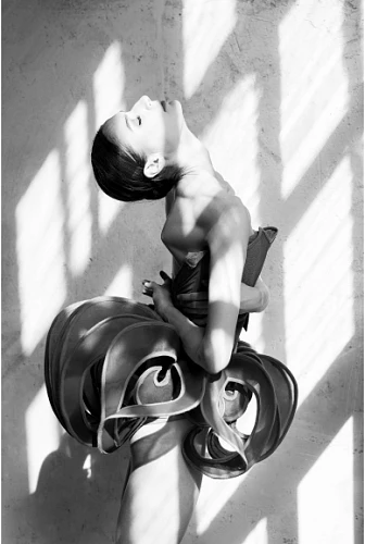 Изображение photo 5