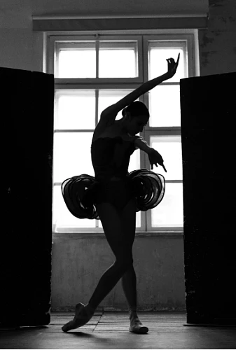 Изображение photo 4