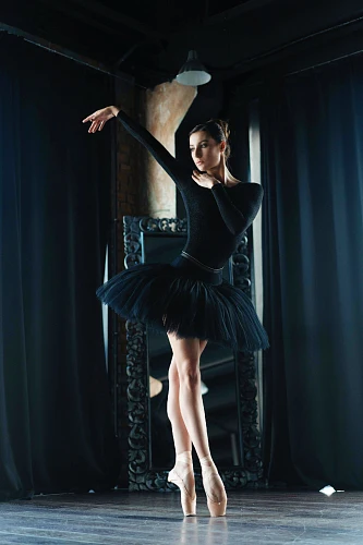 Изображение Black Swan