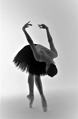 Изображение Black Swan