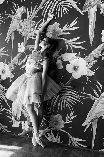 Изображение Alice in Wonderland