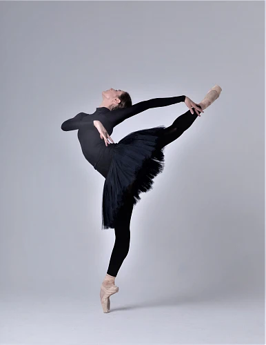 Изображение Black Swan